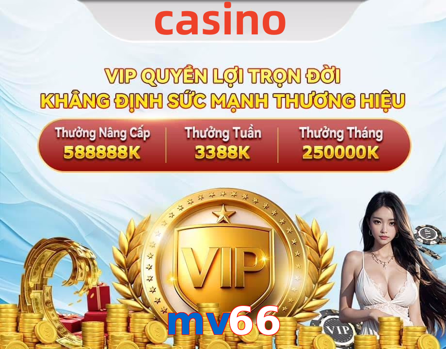 mv66